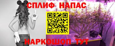 стаф Ливны