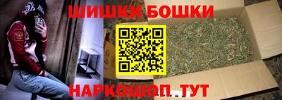 стаф Лесосибирск