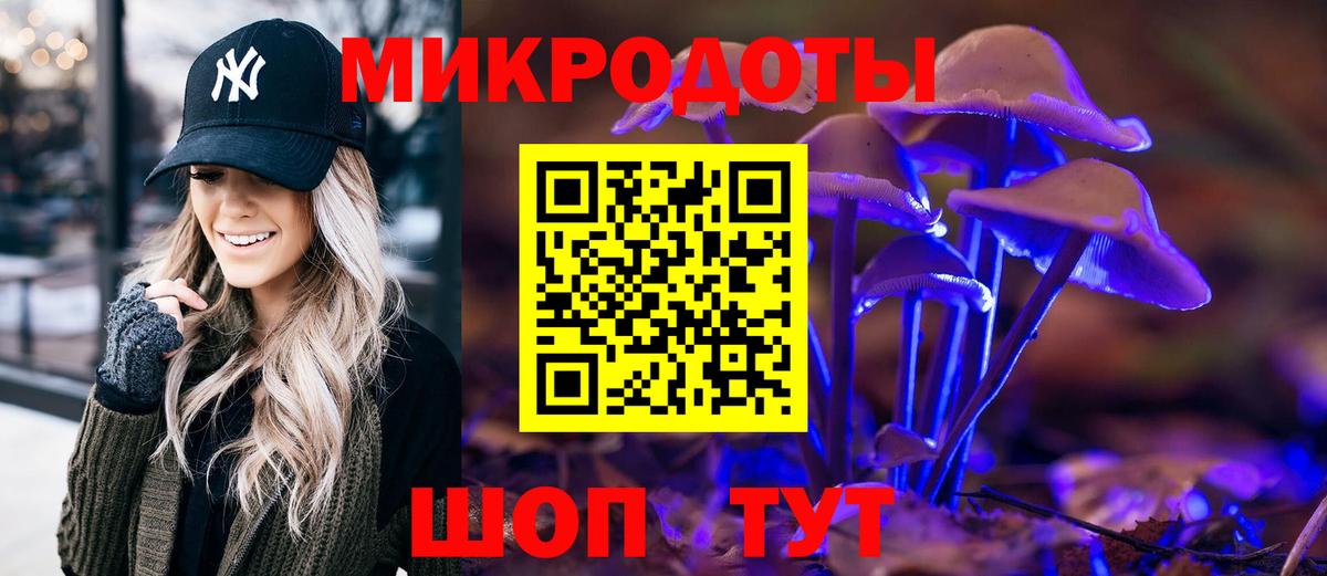 Губаха  Псилоцибиновые грибы прущие грибы  Вход с VPN  Псилоцибиновые грибы прущие грибы 