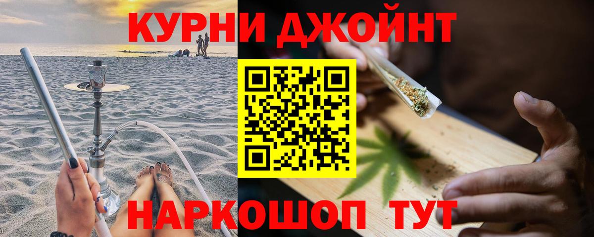 Бошки Шишки планчик Губаха